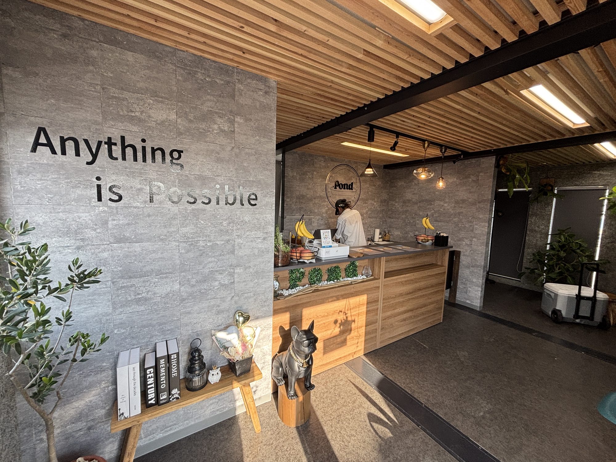 Anything is Possibleの壁ロゴと看板犬の置物